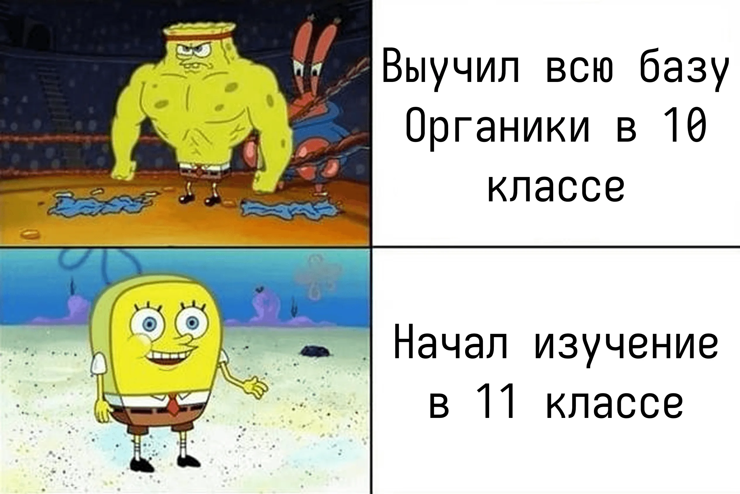 Мем: качок «выучил всю базу органики в 10 классе» против слабака «начал изучение в 11 классе»
